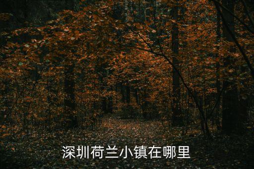 深圳荷蘭小鎮(zhèn)在哪里