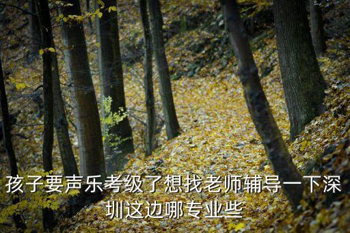 深圳少兒聲樂合唱考級培訓(xùn)班，孩子要聲樂考級了想找老師輔導(dǎo)一下深圳這邊哪專業(yè)些