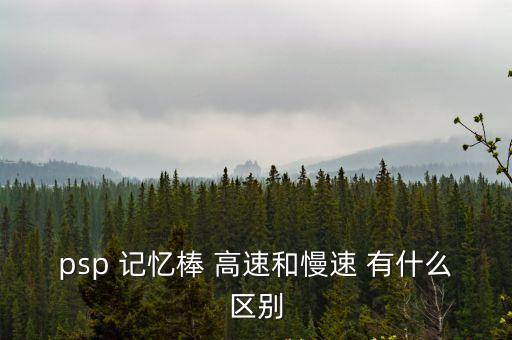 psp 記憶棒 高速和慢速 有什么區別