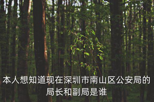 本人想知道現(xiàn)在深圳市南山區(qū)公安局的局長和副局是誰