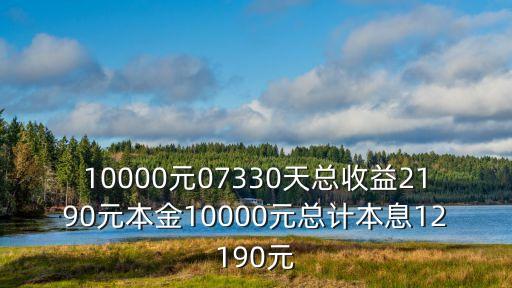 深圳中安投資app，10000元07330天總收益2190元本金10000元總計本息12190元