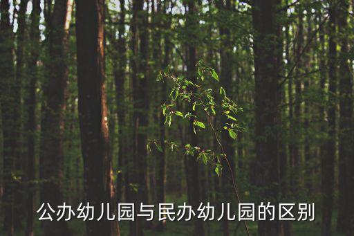 公辦幼兒園與民辦幼兒園的區別