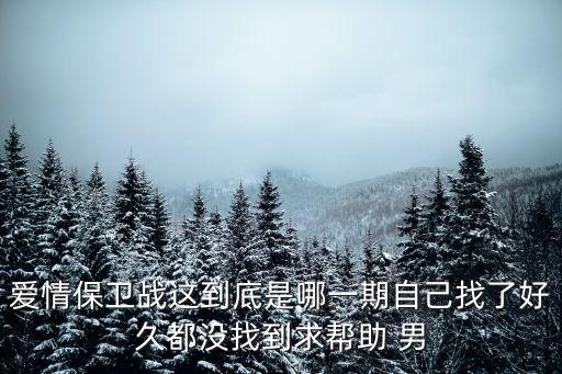 愛情保衛戰這到底是哪一期自己找了好久都沒找到求幫助 男
