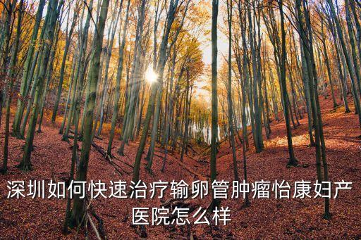 深圳如何快速治療輸卵管腫瘤怡康婦產醫院怎么樣