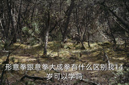 形意拳跟意拳大成拳有什么區(qū)別我14歲可以學嗎