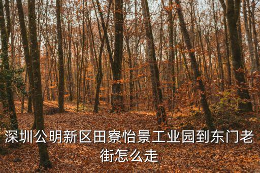 深圳田寮怡景，從深圳市公明鎮(zhèn)田寮路口去怡景工業(yè)園怎么走啊