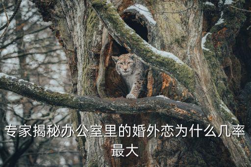 深圳同事間出軌率，外遇的比例是男多還是女多