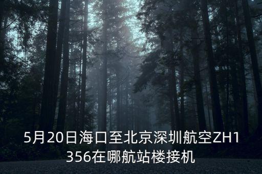 5月20日海口至北京深圳航空ZH1356在哪航站樓接機