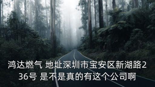鴻達燃氣 地址深圳市寶安區新湖路236號 是不是真的有這個公司啊