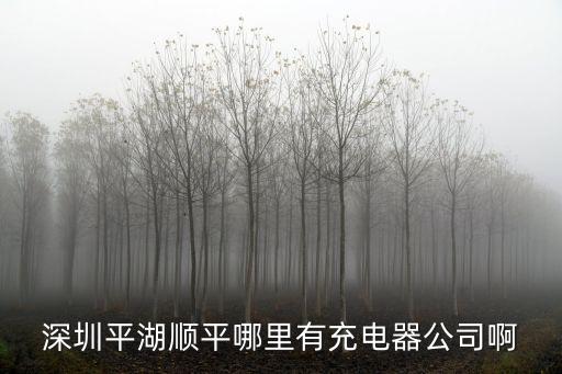 深圳平湖順平花店，深圳平湖哪里有賣玫瑰花的