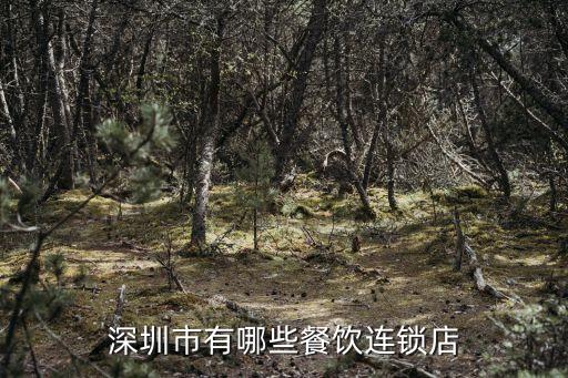 11年深圳快餐連鎖品牌，我是招商員公司要招些快餐店進(jìn)來(lái)在深圳沙井請(qǐng)問(wèn)深圳都有