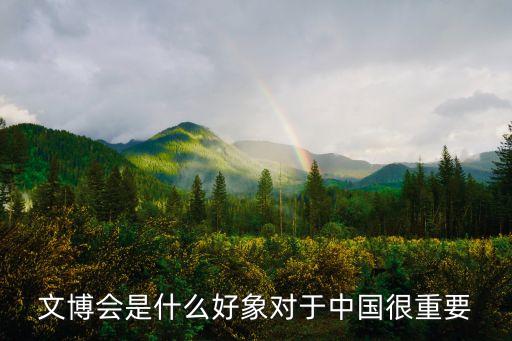 文博會是什么好象對于中國很重要