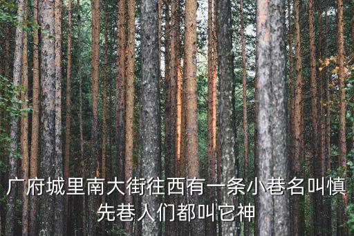 深圳掃街城市創意小巷子，廣府城里南大街往西有一條小巷名叫慎先巷人們都叫它神