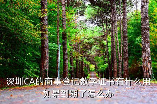 深圳ca登記數字證書有用嗎，深圳CA的商事登記數字證書有什么用如果到期了怎么辦