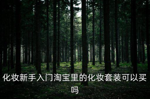 化妝新手入門淘寶里的化妝套裝可以買嗎