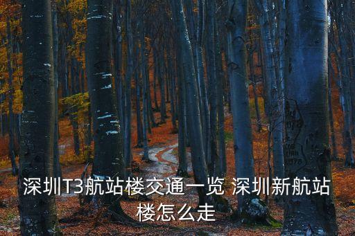 深圳出發的東方航空線路，東方航空公司的機型和航線