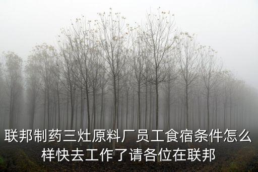 聯邦制藥三灶原料廠員工食宿條件怎么樣快去工作了請各位在聯邦