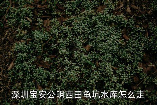 深圳光明區(qū)公明鐵坑水庫百科，鐵坑水庫釣魚