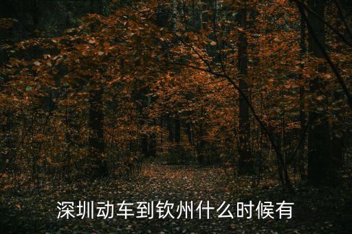 深圳動車到欽州什么時(shí)候有