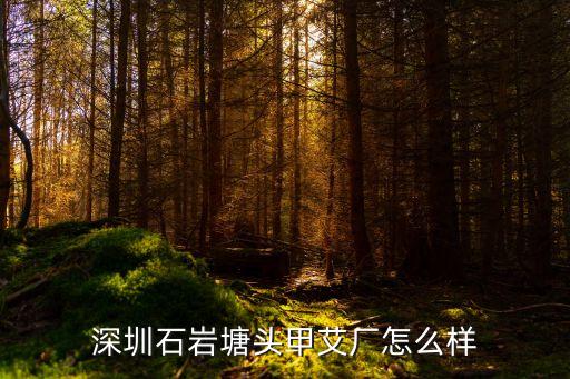 深圳塘頭南崗甲艾馬達(dá)廠，深圳石巖塘頭甲艾廠怎么樣
