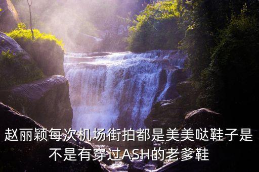 趙麗穎在深圳機(jī)場照片，趙麗穎每次機(jī)場街拍都是美美噠鞋子是不是有穿過ASH的老爹鞋