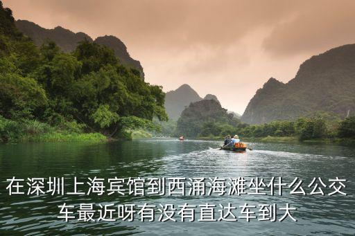 在深圳上海賓館到西涌海灘坐什么公交車最近呀有沒有直達(dá)車到大