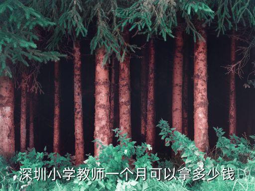 深圳小學教師一個月可以拿多少錢