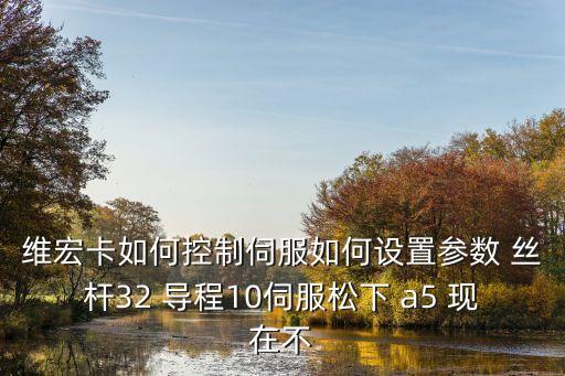 維宏卡如何控制伺服如何設置參數 絲桿32 導程10伺服松下 a5 現在不
