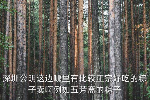 深圳十大粽子，請(qǐng)問深圳哪里賣的粽子好吃