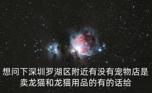 深圳龍貓用品專賣店，深圳哪里有賣龍貓的