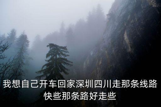 我想自己開車回家深圳四川走那條線路快些那條路好走些