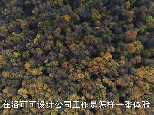 洛可可設(shè)計(jì)深圳有限公司怎么樣，在洛可可設(shè)計(jì)公司工作是怎樣一番體驗(yàn)