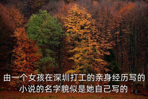 深圳合租劍飛，由一個(gè)女孩在深圳打工的親身經(jīng)歷寫的小說的名字貌似是她自己寫的