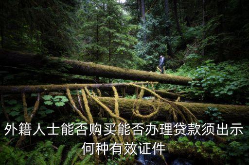 外籍人士能否購買能否辦理貸款須出示何種有效證件
