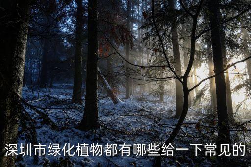 深圳市綠化植物都有哪些給一下常見的