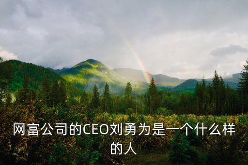 網富公司的CEO劉勇為是一個什么樣的人