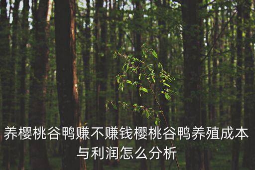 養(yǎng)櫻桃谷鴨賺不賺錢(qián)櫻桃谷鴨養(yǎng)殖成本與利潤(rùn)怎么分析