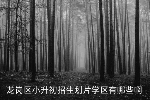 龍崗區小升初招生劃片學區有哪些啊