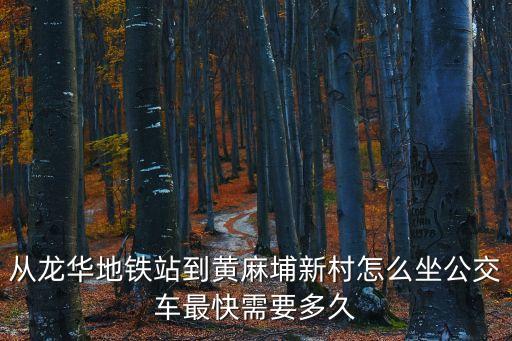 從龍華地鐵站到黃麻埔新村怎么坐公交車最快需要多久