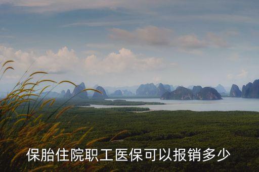 保胎住院職工醫(yī)保可以報銷多少