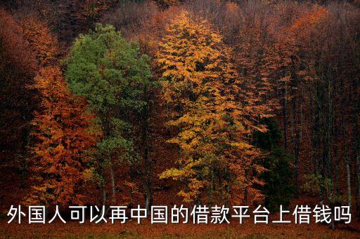 外國人可以再中國的借款平臺上借錢嗎