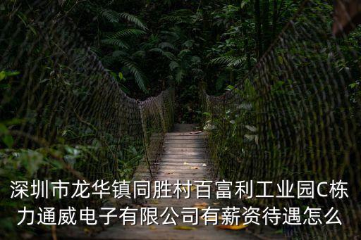 深圳市龍華鎮(zhèn)同勝村百富利工業(yè)園C棟力通威電子有限公司有薪資待遇怎么