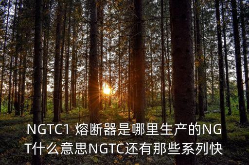NGTC1 熔斷器是哪里生產(chǎn)的NGT什么意思NGTC還有那些系列快