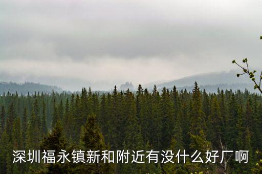 深圳福永新和振動盤公司，深圳福永鎮新和附近有沒什么好廠啊