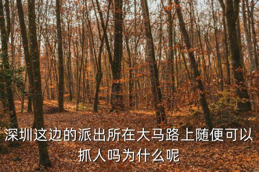 深圳這邊的派出所在大馬路上隨便可以抓人嗎為什么呢