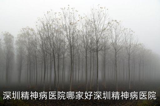 聯仁健康深圳，深圳精神病醫院哪家好深圳精神病醫院