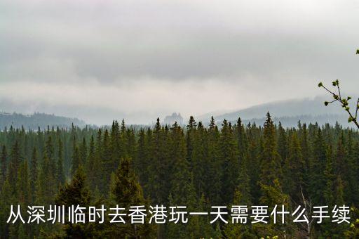 從深圳臨時(shí)去香港玩一天需要什么手續(xù)