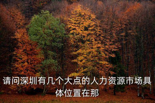 請問深圳有幾個大點的人力資源市場具體位置在那