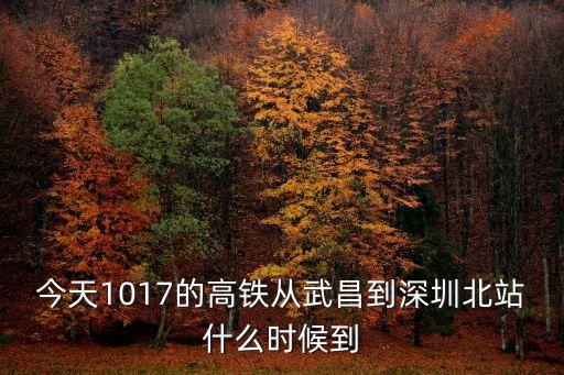 今天1017的高鐵從武昌到深圳北站什么時候到