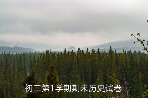 深圳光明區2020初三期末歷史，初三期末考試歷史考到哪